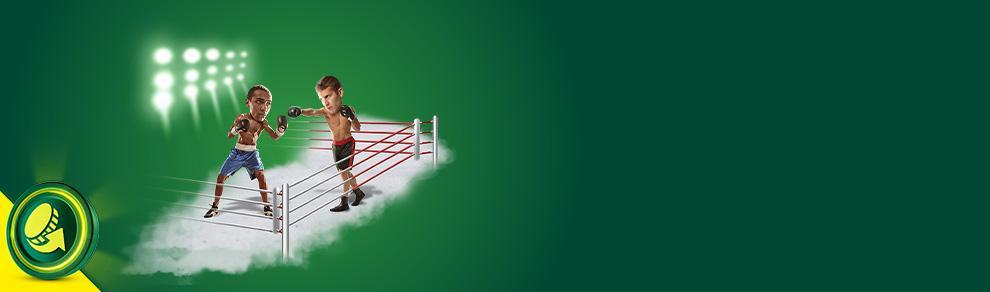 Banner image